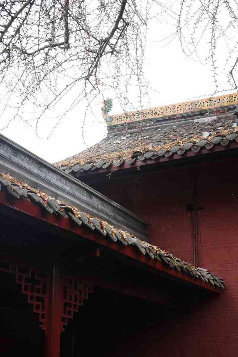 八日游，甘青大环线旅游团，臻品1+1保姆车，升级国际五星，深度环游西北秘境-第2张图片-四川省中国青年旅行社